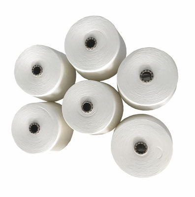 Ne30/1 Siro Spun Garne voor breien 100% bamboe materiaal getest gelijkmatigheid Twist 750TPM